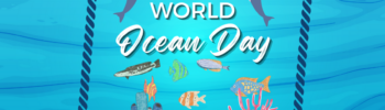 Ocean Conservation